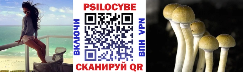 Галлюциногенные грибы мицелий  Короча 