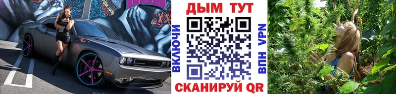 МАРИХУАНА Amnesia  Короча 